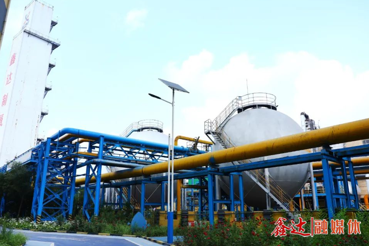 直击现场丨制氧总厂精益管理，打造高效生产新引擎！